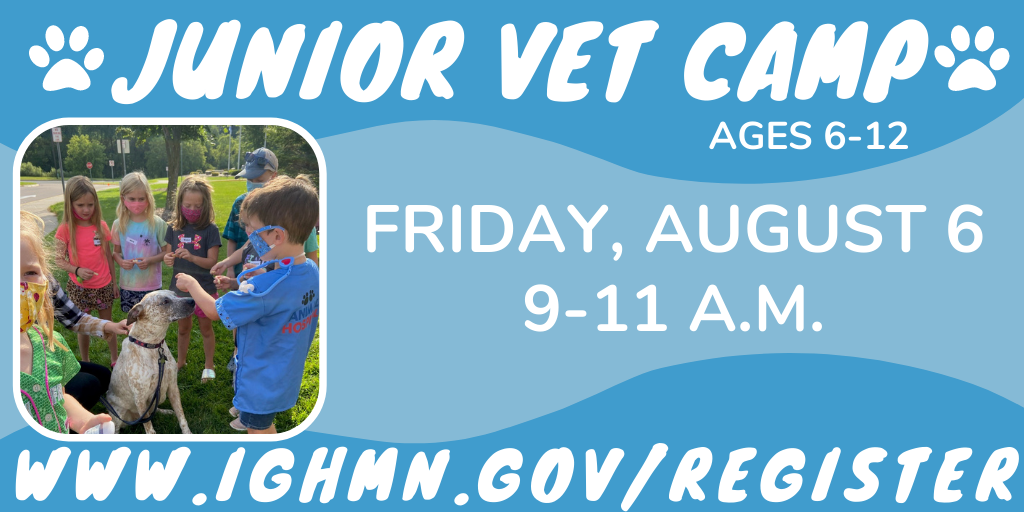 Junior Vet Camp Newsflash 1024x512-2