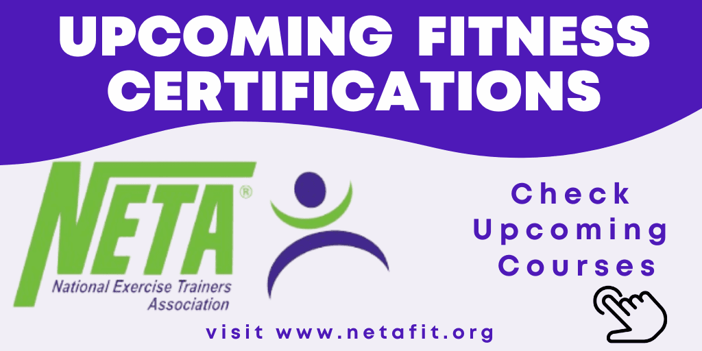 NETA Summer 2021 Newsflash 1024x512