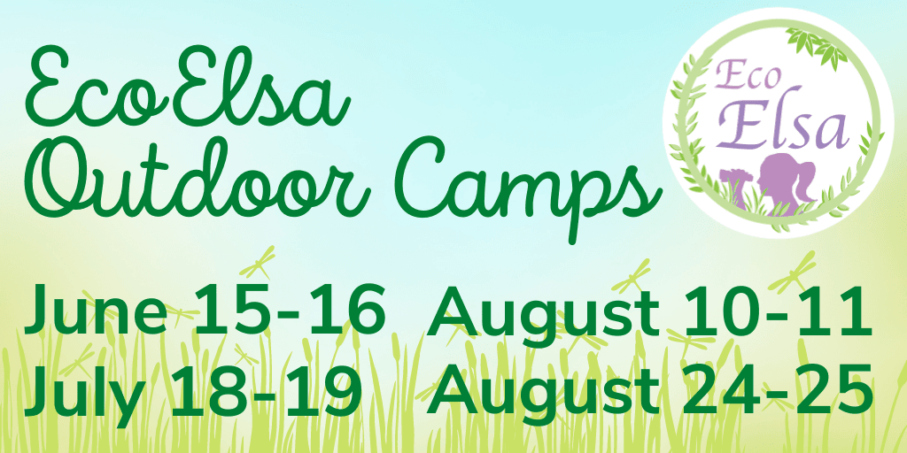 EcoElsa Newsflash 1024x512