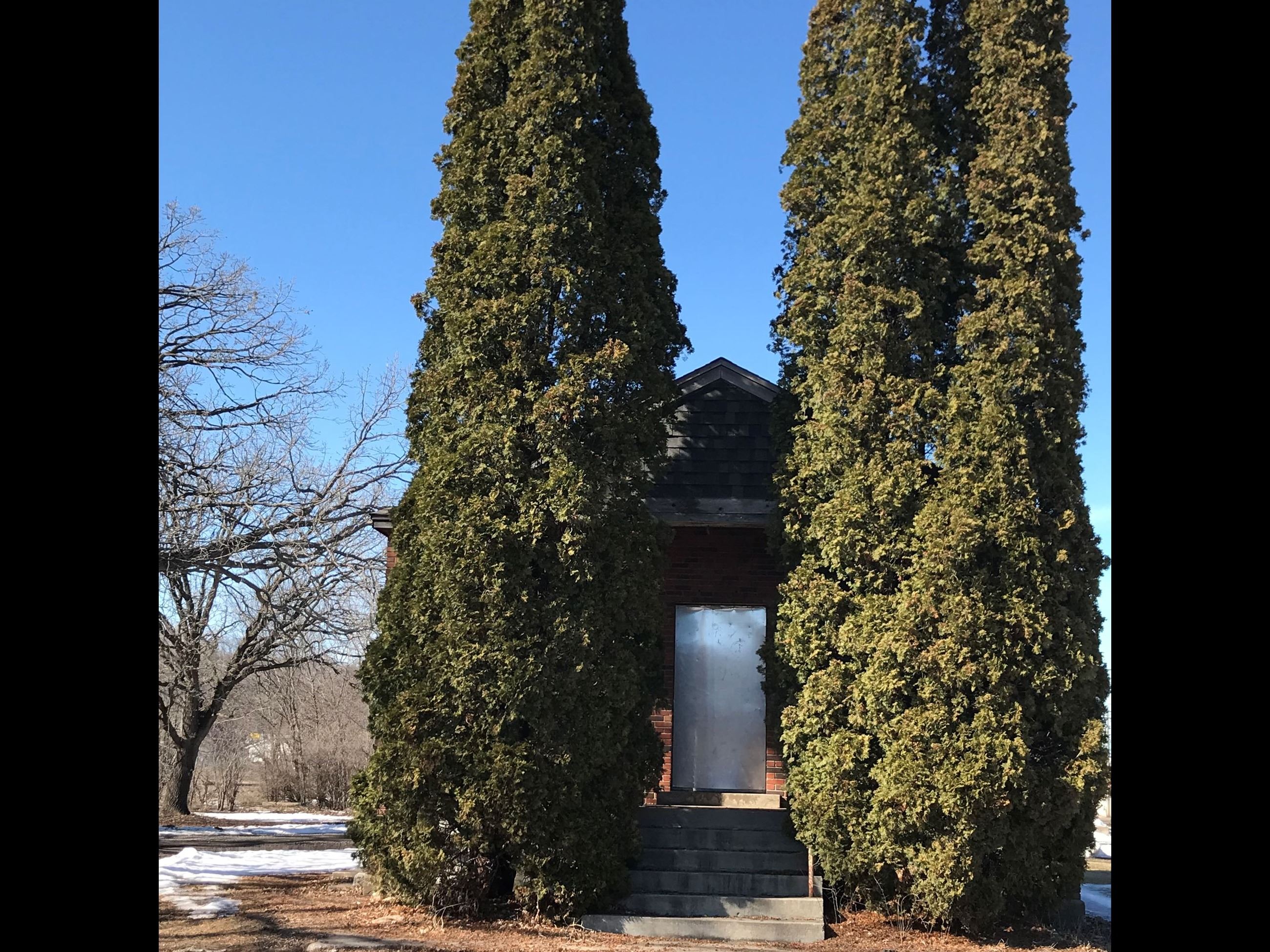 IGH Old City Hall Park trees