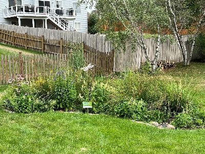 Sara Goodman Rain Garden